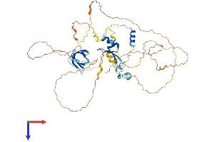 AlphaFold protein structure predicition of Human Recombinant ZNF395 Protein, UniprotID Q9H8N7 (ZNF395 Protein (AA 1-513) (His tag))