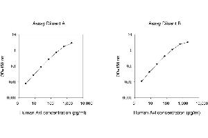 ELISA image for AXL Receptor tyrosine Kinase (AXL) ELISA Kit (ABIN624944) (AXL ELISA Kit)