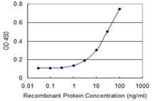 Detection limit for recombinant GST tagged GRM8 is 0. (GRM8 antibody  (AA 486-575))
