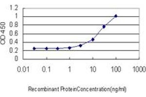 Detection limit for recombinant GST tagged PAX7 is approximately 3ng/ml as a capture antibody. (PAX7 antibody  (AA 411-520))
