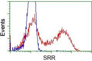 HEK293T cells transfected with either pCMV6-ENTRY SRR (RC210359) (Red) or empty vector control plasmid (Blue) were immunostained with anti-SRR mouse monoclonal (ABIN2453693), and then analyzed by flow cytometry. (SRR antibody)