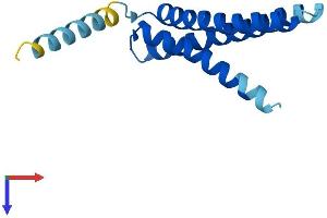 Transmembrane Protein 170B (TMEM170B) (AA 1-132) protein (His tag)