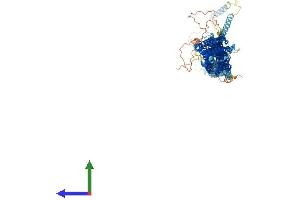 AlphaFold protein structure predicition of Human Recombinant EXOC2 Protein, UniprotID Q96KP1 (EXOC2 Protein (AA 1-924) (His tag))