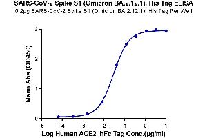 Immobilized SARS-CoV-2 Spike S1 (Omicron BA. (SARS-CoV-2 Spike S1 Protein (BA.2.12.1 - Omicron) (His tag))
