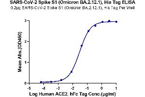 Immobilized SARS-CoV-2 Spike S1 (Omicron BA. (SARS-CoV-2 Spike S1 Protein (BA.2.12.1 - Omicron) (His tag))