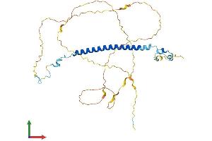 Protein Structure (PS) image for Coiled-Coil Domain Containing 86 (CCDC86) (AA 1-360) protein (His tag) (ABIN7553206)