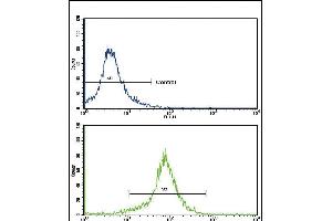 Flow cytometric analysis of K562 cells using SOD3 Antibody (N-term)(bottom histogram) compared to a negative control cell (top histogram). (SOD3 antibody  (N-Term))