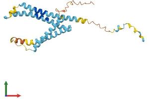 AlphaFold protein structure predicition of Mouse Recombinant Laptm4a Protein, UniprotID Q60961