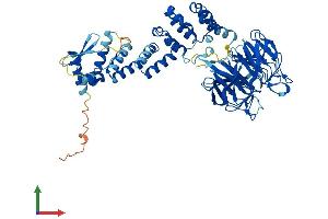 AlphaFold protein structure predicition of Human Recombinant KLHL35 Protein, UniprotID Q6PF15