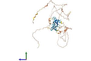 AlphaFold protein structure predicition of Human Recombinant C11orf16 Protein, UniprotID Q9NQ32 (C11ORF16 Protein (AA 1-467) (His tag))