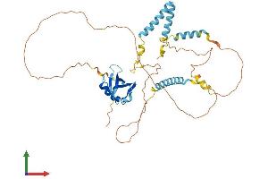 AlphaFold protein structure predicition of Human Recombinant HERPUD2 Protein, UniprotID Q9BSE4