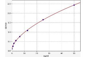 Typical standard curve (CSN2 ELISA Kit)