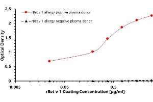 ELISA (enzyme-linked immunosorbent assay) test was designed to prove the bond between the coated target recombinant allergen rBet v 1 and allergen-specific human plasma IgG4 antibodies of Betula verrucosa positive donor. (PFN1 Protein)