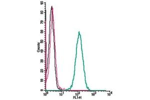 Cell surface detection of EP2 receptor by indirect flow cytometry in live intact human  monocytic leukemia cells + goat-anti-rabbit-FITC.