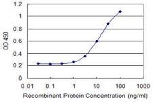 Detection limit for recombinant GST tagged C7orf38 is 0. (FAM200A antibody  (AA 1-573))