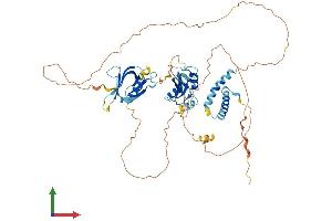 Protein Structure (PS) image for SH2B Adaptor Protein 3 (SH2B3) (AA 1-575) protein (His tag) (ABIN7546120)
