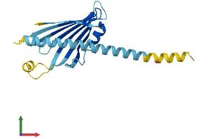 AlphaFold protein structure predicition of Mouse Recombinant Prelid3b Protein, UniprotID Q9CYY7