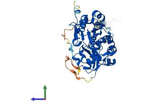 AlphaFold protein structure predicition of Human Recombinant FUT1 Protein, UniprotID P19526 (FUT1 Protein (AA 1-365) (His tag))