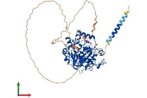 AlphaFold protein structure predicition of Human Recombinant ST6GAL2 Protein, UniprotID Q96JF0