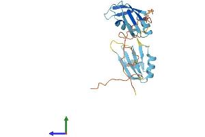 AlphaFold protein structure predicition of Mouse Recombinant Srsf9 Protein, UniprotID Q9D0B0 (SFRS9 Protein (AA 1-222) (His tag))