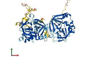 Protein Structure (PS) image for Trypsin Domain Containing 1 (TYSND1) (AA 1-566) protein (His tag) (ABIN7544890)