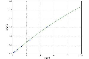 ADAM Metallopeptidase Domain 29 (ADAM29) ELISA Kit