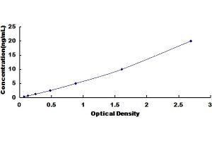 Mitochondrially Encoded NADH Dehydrogenase 1 (MT-ND1) ELISA Kit