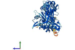 AlphaFold protein structure predicition of Human Recombinant HSPA14 Protein, UniprotID Q0VDF9