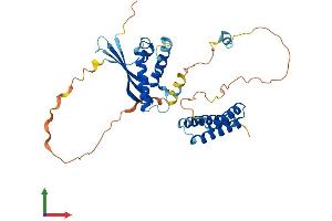 Protein Structure (PS) image for Sorting Nexin 15 (SNX15) (AA 1-342) protein (His tag) (ABIN7546254)