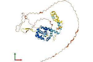 AlphaFold protein structure predicition of Human Recombinant SPDYE2 Protein, UniprotID Q495Y8 (SPDYE2 Protein (AA 1-402) (His tag))