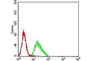 Flow cytometric analysis of K562 cells using LILRA2 mouse mAb (green) and negative control (red). (LILRA2 antibody  (AA 316-449))