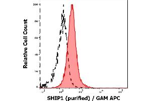 Separation of MOLT-4 cells stained using anti-SHIP1 (SHIP-02) purified antibody (concentration in sample 3 μg/mL, GAM APC, red-filled) from MOLT-4 cells unstained by primary antibody (GAM APC, black-dashed) in flow cytometry analysis (intracellular staining).
