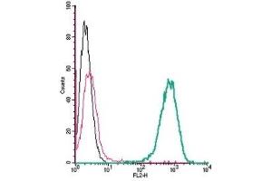 Flow Cytometry (FACS) image for anti-Adrenergic, beta-2-, Receptor, Surface (ADRB2) (AA 15-30), (Extracellular) antibody (PE) (ABIN7042906)