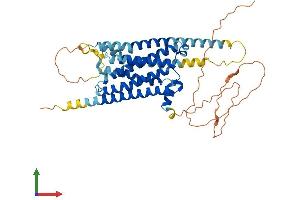 AlphaFold protein structure predicition of Human Recombinant DRD1 Protein, UniprotID P21728 (Dopamine Receptor d1 Protein (AA 1-446) (His tag))