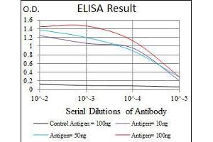 Black line: Control Antigen (100 ng), Purple line: Antigen(10 ng), Blue line: Antigen (50 ng), Red line: Antigen (100 ng), (c-FOS antibody)