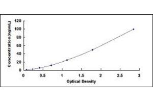 Typical standard curve (BCAM ELISA Kit)
