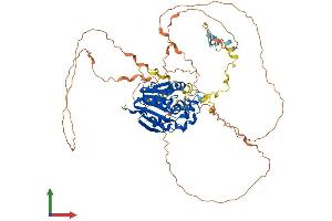 Protein Structure (PS) image for Methylphosphate Capping Enzyme (MEPCE) (AA 1-666) protein (His tag) (ABIN7559544)
