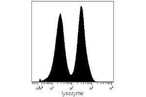 Intracellular staining (mass cytometry) of PBMC after Ficoll-Paque separation with anti-human lysozyme (LZ598-10G9) Gd155. (LYZ antibody)