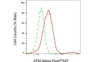 Flow cytometric analysis of ATM expression in HepG2 cells using ATM antibody ( (ABIN7797667), 1:2,000). (Recombinant ATM antibody)