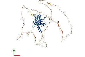 AlphaFold protein structure predicition of Human Recombinant GCM1 Protein, UniprotID Q9NP62 (GCM1 Protein (AA 1-436) (His tag))