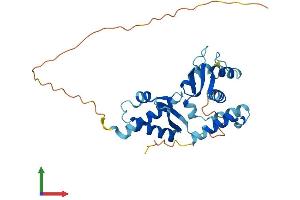 AlphaFold protein structure predicition of Mouse Recombinant Nsmce3 Protein, UniprotID Q9CPR8 (Necdin-Like 2 Protein (NDNL2) (AA 1-279) (His tag))