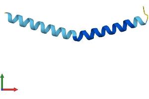AlphaFold protein structure predicition of Mouse Recombinant Pxt1 Protein, UniprotID Q8K459 (PXT1 Protein (AA 1-51) (Fc Tag))