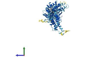 AlphaFold protein structure predicition of Human Recombinant NSF Protein, UniprotID P46459