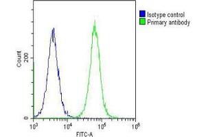 Overlay histogram showing Hela cells stained with (ABIN6243713 and ABIN6578558) (green line). (LASS4 antibody  (AA 21-51))