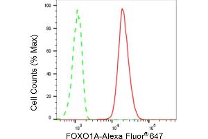 Flow cytometric analysis of FOXO1A expression in C2C12 cells using FOXO1A antibody (ABIN7798644), 1:2,000).