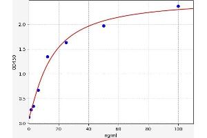 Asprosin ELISA Kit