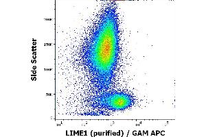 Flow cytometry intracellular staining pattern of human peripheral whole blood using anti-LIME1 (LIME-06) purified antibody (concentration in sample 9 μg/mL, GAM APC). (LIME antibody  (AA 141-295))