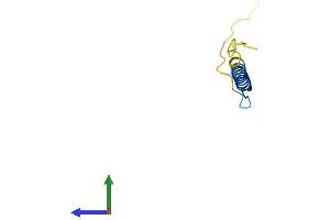 Protein Structure (PS) image for XYD Domain Containing Ion Transport Regulator 2 (FXYD2) (AA 1-66) protein (Fc Tag) (ABIN7552538)