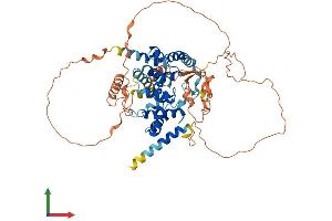 Protein Structure (PS) image for TBC1 Domain Family, Member 3C (TBC1D3C) (AA 1-549) protein (His tag) (ABIN7544193)