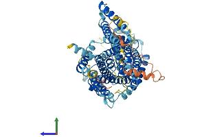 AlphaFold protein structure predicition of Mouse Recombinant Slc7a1 Protein, UniprotID Q09143